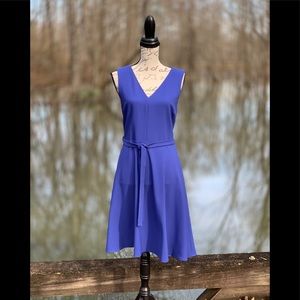 Lark & Ro Blue Dress